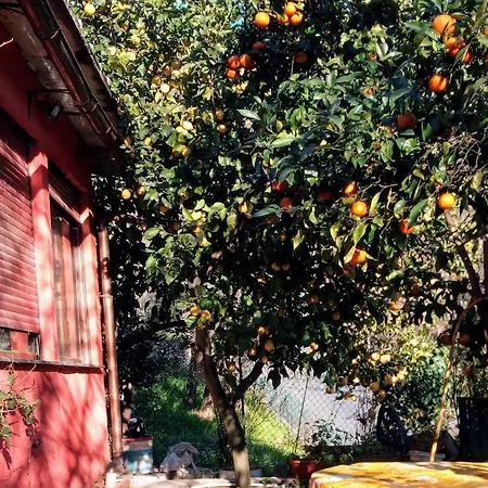 Casa Indipendente Nel Verde Semesterbostad Rapallo
