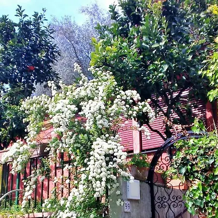Casa Indipendente Nel Verde Semesterbostad *